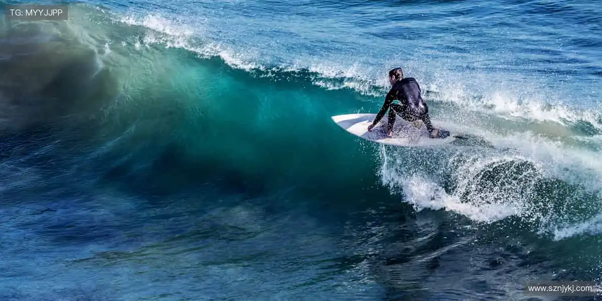 代码是我们的画笔，世界由我们亲手创造！🖌️🌍